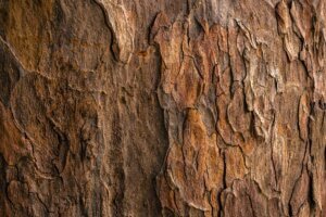Quels sont les différents types de panneaux de bois - Bois massif