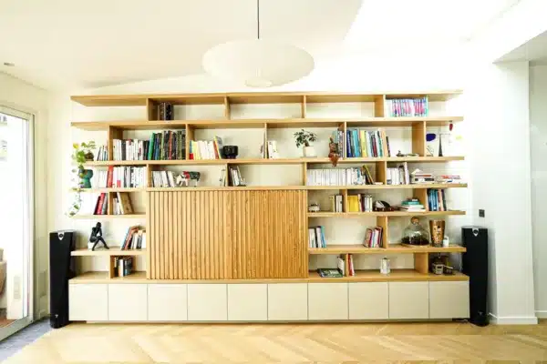 Meuble TV bibliothèque 2