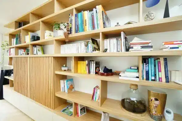 Meuble TV bibliothèque 6