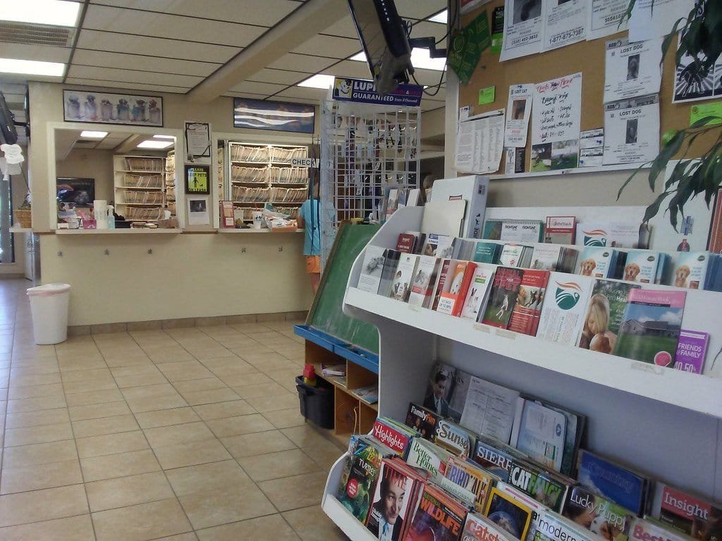 Salle d'attente d'une clinique vétérinaire avec comptoir d'accueil, étagères à dossiers et présentoir à brochures